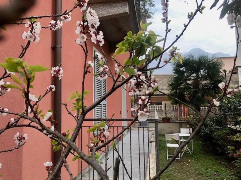 Giuditta Freecarpark&Garden Domodossola Exterior photo