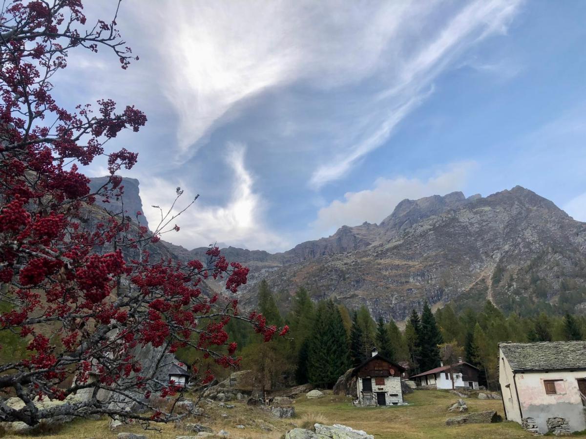 Giuditta Freecarpark&Garden Domodossola Exterior photo
