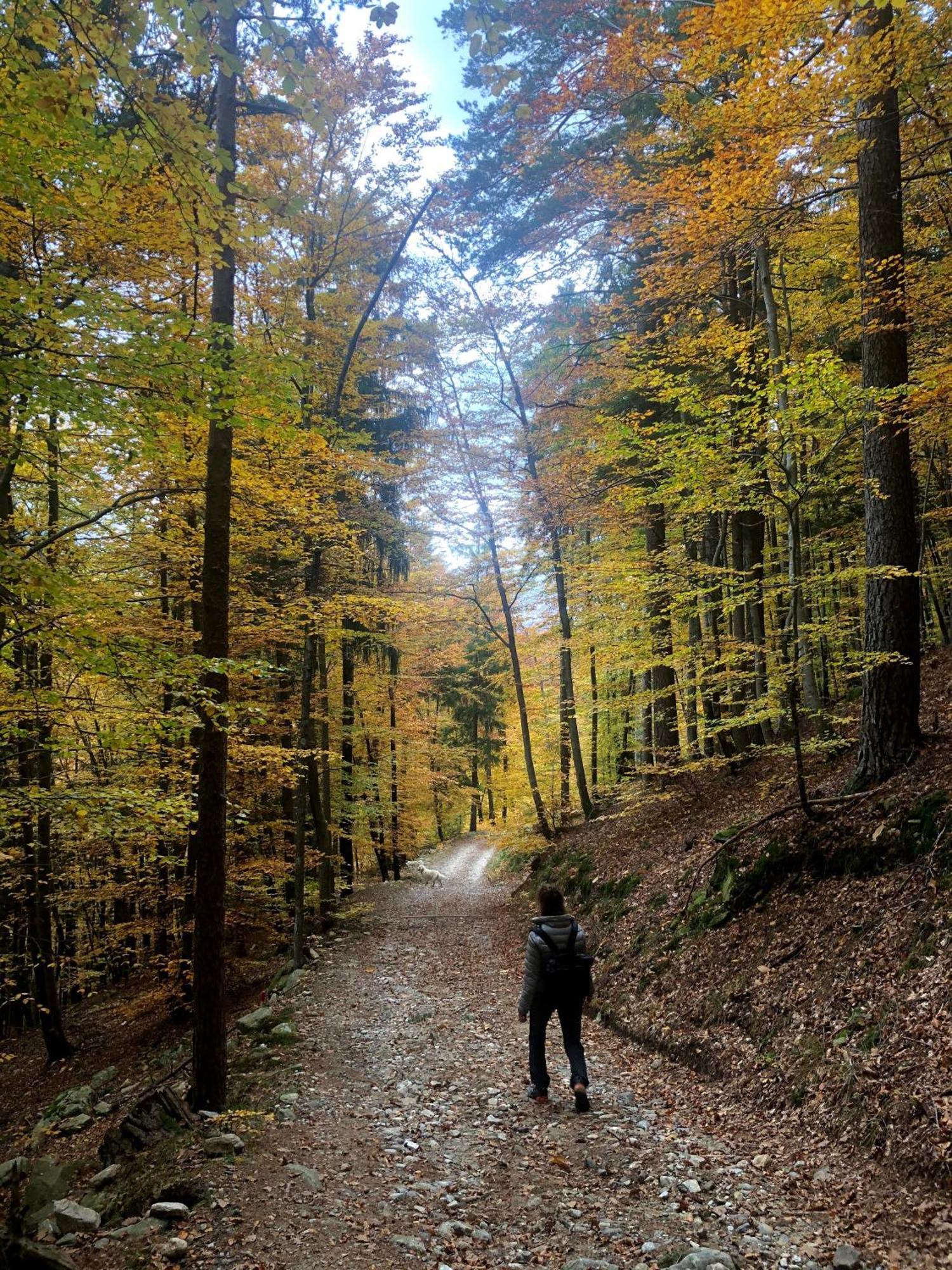 Giuditta Freecarpark&Garden Domodossola Exterior photo
